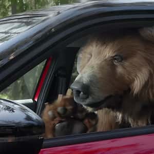 Citroën Grizzly Bear Makes a Vlog in a fake-out-of-home ad of Citroën