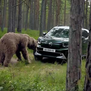Grizzly Bear Spotted Sniffing the Car in a fake-out-of-home ad of Citroën