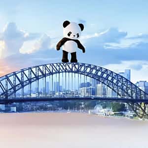 Panda Bear Back Flips From the Bridge in a fake-out-of-home ad of Roomlane