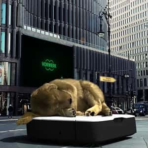 Vacuum Cleaner with Sleeping Dog in a fake-out-of-home ad of Kobold
