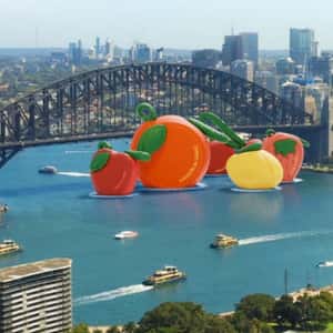 Fruit Charm Installation in a fake-out-of-home ad of MAISON de SABRÉ