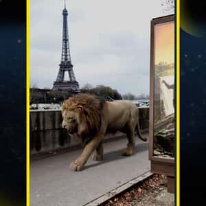 Lion Enters Theater in a fake-out-of-home ad of Disney