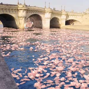 Hair Oil Bottle Floats in Flower-filled River in a fake-out-of-home-ad of Kérastase