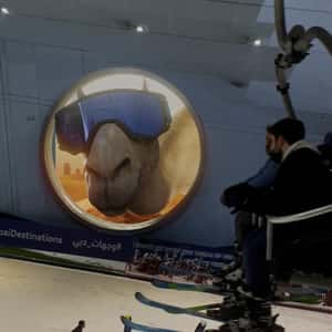 Camel Peeks Through the Window in a fake-out-of-home ad of BrandDubai