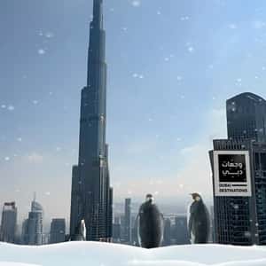 Penguins on Frozen Dam and Pool in a fake-out-of-home ad of BrandDubai