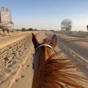 Giant Birds Running on Desert Road in a fake-out-of-home ad of BrandDubai