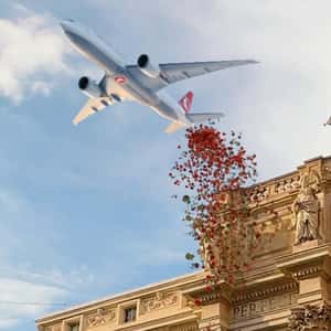Airplane Drops Roses in a fake-out-of-home ad of Turkish Airlines