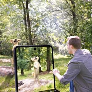 Phone Transformed into Window in a fake-out-of-home ad of Samsung Galaxy