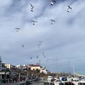 Storks Carrying Shopping Bags in a fake-out-of-home ad of Sephora