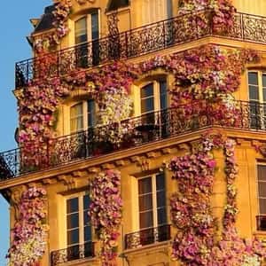 Flowers Bloom on Building in a fake-out-of-home ad of Banque Populaire
