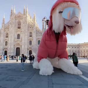 Giant Dog Poses at Cathedral in a fake-out-of-home ad of Benetton