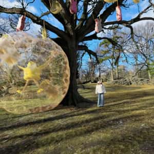 Inflated Bubble Collides with Tree in a fake-out-of-home ad of Betsey Johnson