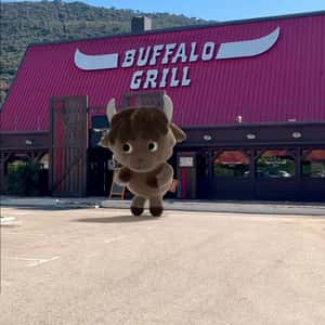 Mascot Dancing at Restaurant in a fake-out-of-home ad of Buffalo Grill