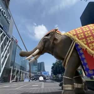 Elephant Drops Phones from Cage in a fake-out-of-home ad of CASETiFY