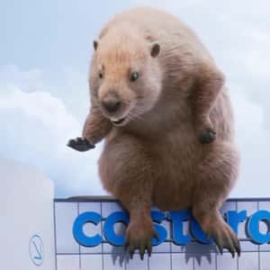 Beaver Sits Above the Store in a fake-out-of-home ad of Castorama