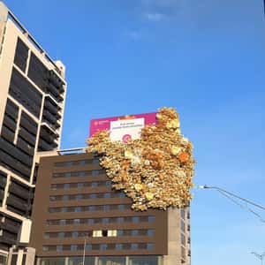 Yellow Flowers Bloom on Rooftop ni a fake-out-of-home ad of Enviaflores