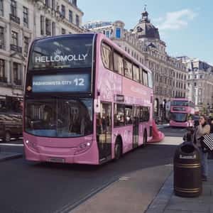 Pink Dress behind the Bus in a fake-out-of-home ad of Hello Molly