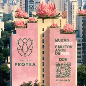 Flowers Blossom Across Rooftops in a fake-out-of-home ad of Instituto Protea