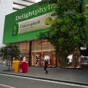 Green Garden Blooms at Store in a fake-out-of-home ad of Nature's Sunshine