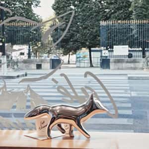 Silver Fox Spills Coffee Cup in a fake-out-of-home ad of Maison Kitsune
