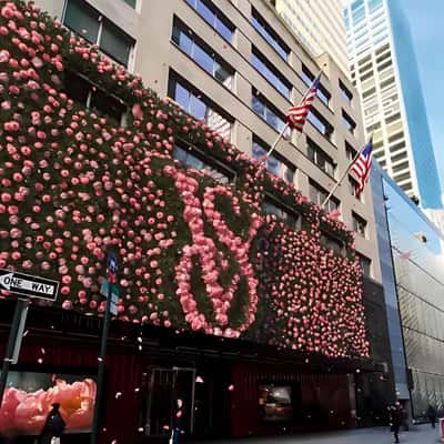 Secret Façade Rose Vertical Garden in a fake-out-of-home-ad of Victoria’s Secret