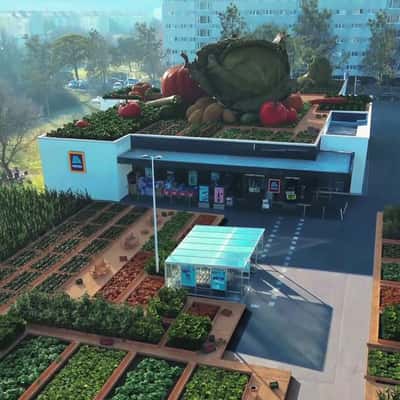 Vegetable Garden Above the Roof in a fake-out-of-home ad of Hofer