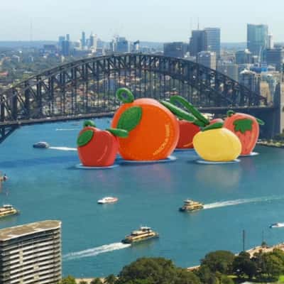 Fruit Charm Installation in a fake-out-of-home ad of MAISON de SABRÉ