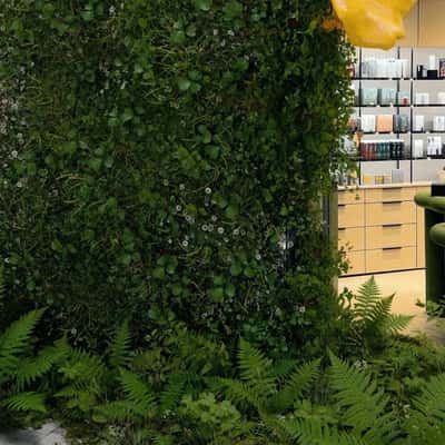 Green Plants Bloom at Store in a fake-out-of-home ad of MÁDARA