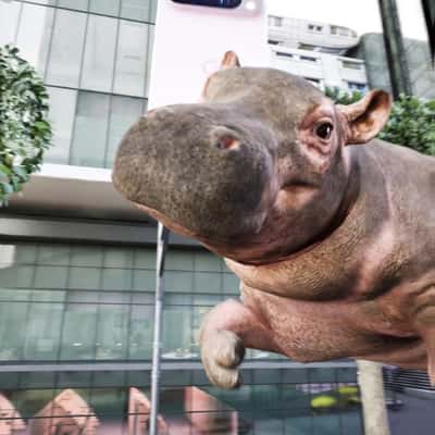 Phone Floats with Hippo and Dog in a fake-out-of-home ad of Google Pixel
