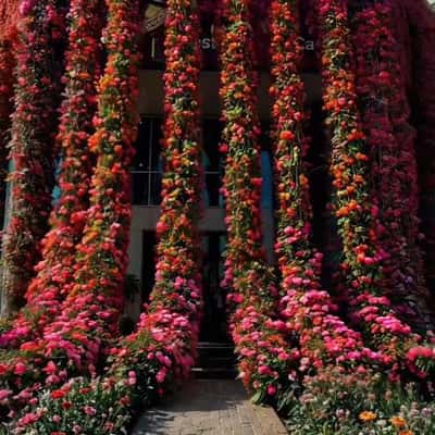 Flowers Cover Entire Facade in a fake-out-of-home ad of Aseel Restaurant & Cafe