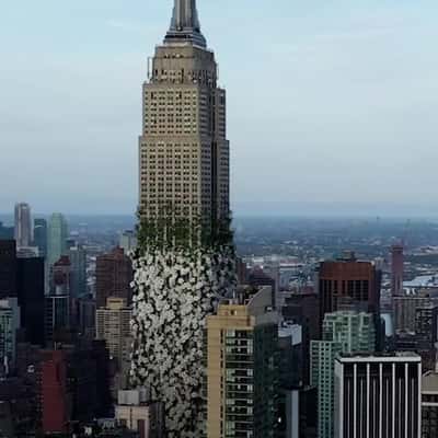 White Flowers Bloom in NYC in a fake-out-of-home ad of Carolina Herrera