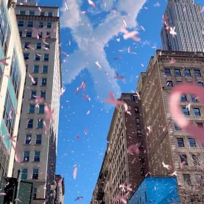 Pink Ribbons Falling Over NYC in a fake-out-of-home ad of Flo Health App