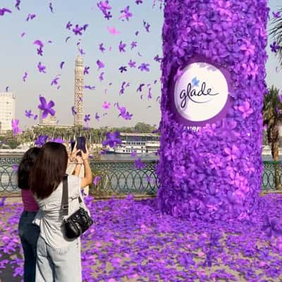 Spray Bottle Releases Purple Flowers in a fake-out-of-home ad of Glade