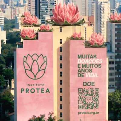 Flowers Blossom Across Rooftops in a fake-out-of-home ad of Instituto Protea