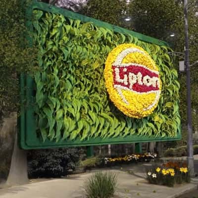 Tea Leaves Shape a Bottled Drink in a fake-out-of-home ad of Lipton Ice Tea
