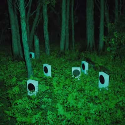 Consoles Spotted in the Forest in a fake-out-of-home ad of XBOX