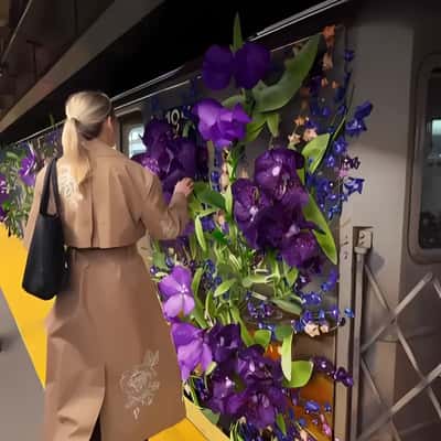 Purple Orchids Blooms in fake-out-of-home ad of Cinq à Sept
