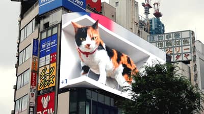 Shinjuku Station 3D Billboard