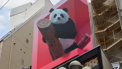 Shibuya Center Gai 3D Billboard